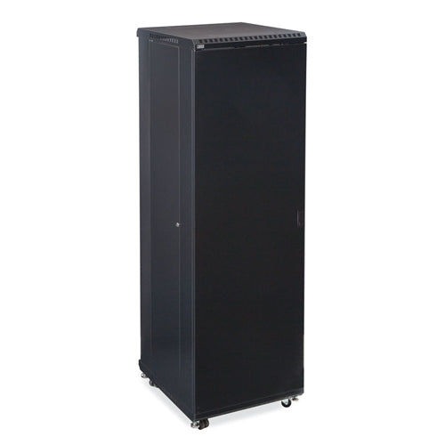 42U LINIER Server Cabinet - Solid/Convex Doors - 24" Depth (3104-3-024-42)